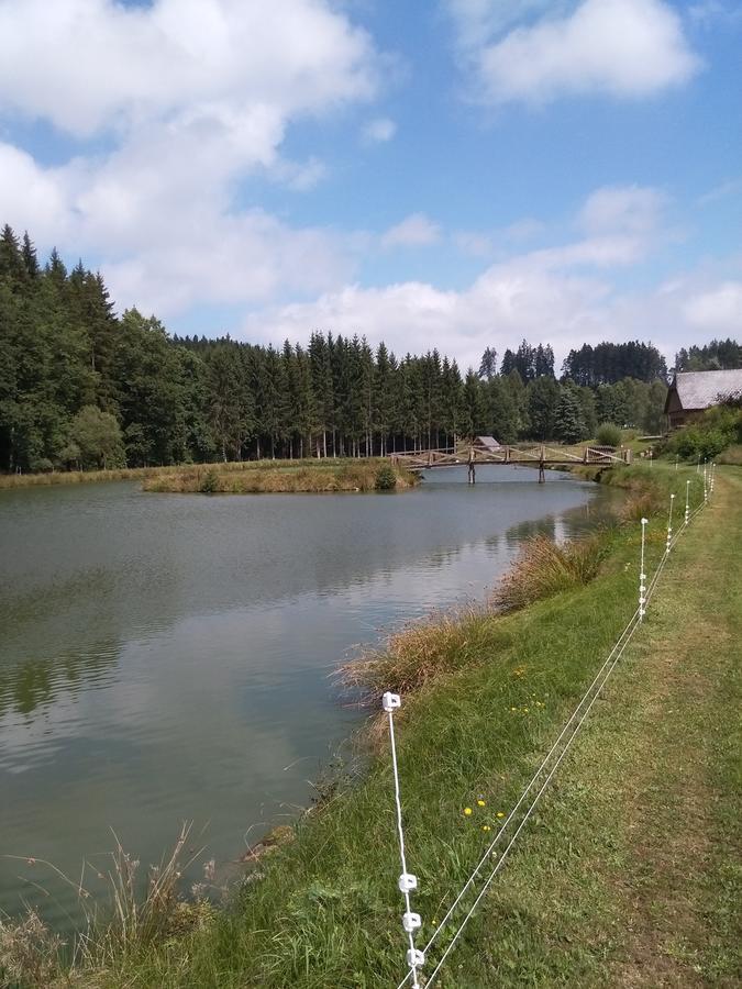 Hotel Sonnenhof リッチャウ エクステリア 写真